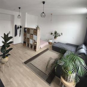 Chic studio in Vienna's heart